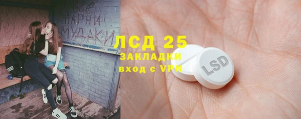 ПСИЛОЦИБИНОВЫЕ ГРИБЫ Алзамай