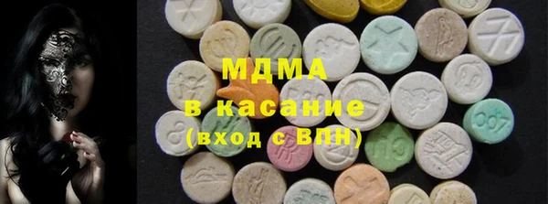 прущие грибы Абинск