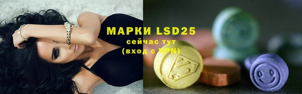 прущие грибы Абинск