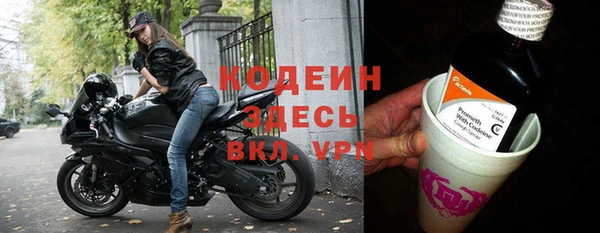 прущие грибы Абинск