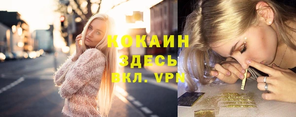 сатива Алексеевка